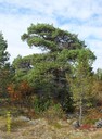 Фотография 22 из 31